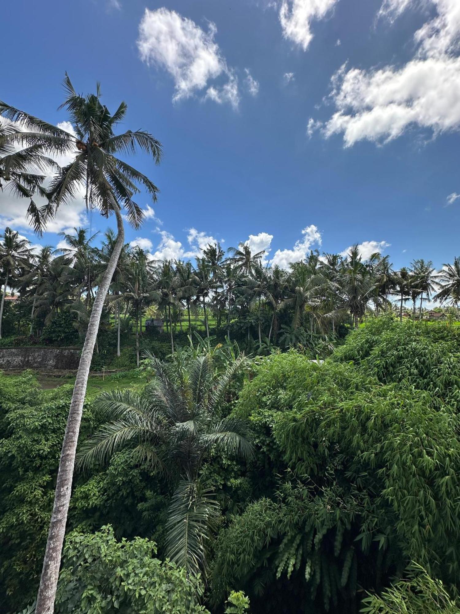 Tagel Karsa House Hotel Ubud Exterior foto